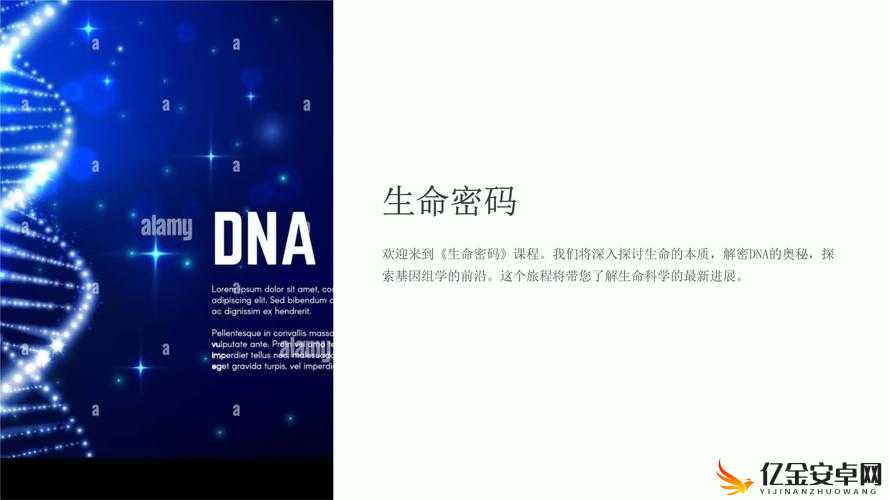 母亲 dna 和儿子 dna 一样不：这背后的科学奥秘与意义探寻